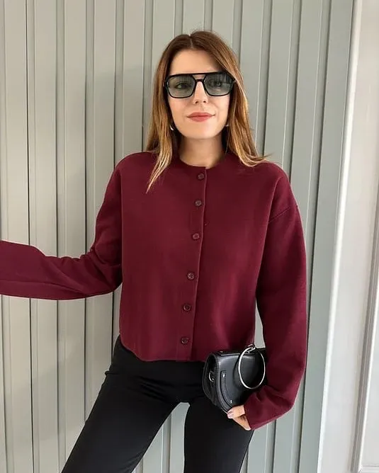 Pamja 2