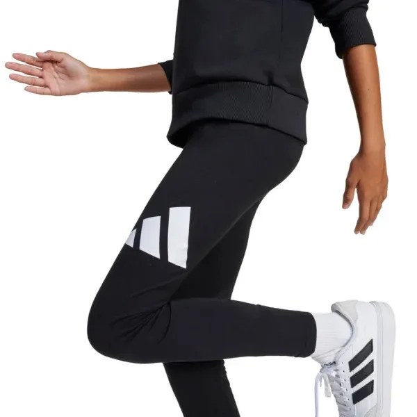 Pamja 4
