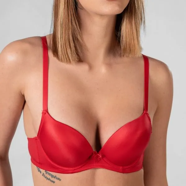 Pamja 1