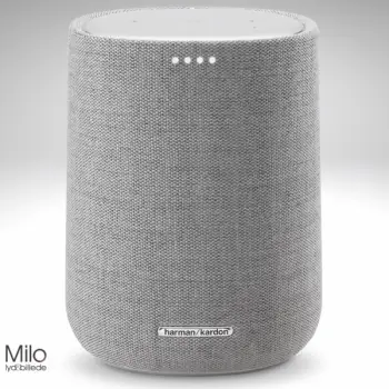 Harman Kardon Citation ONE MK3 – Altoparlant Smart Premium në Ngjyrë Gri