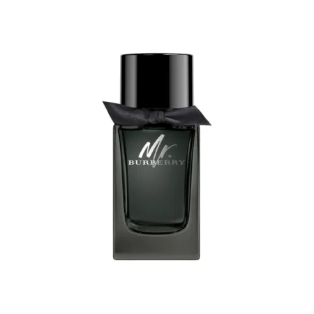 Parfum- BURBERRY MR.BURBERRY EDP - 1