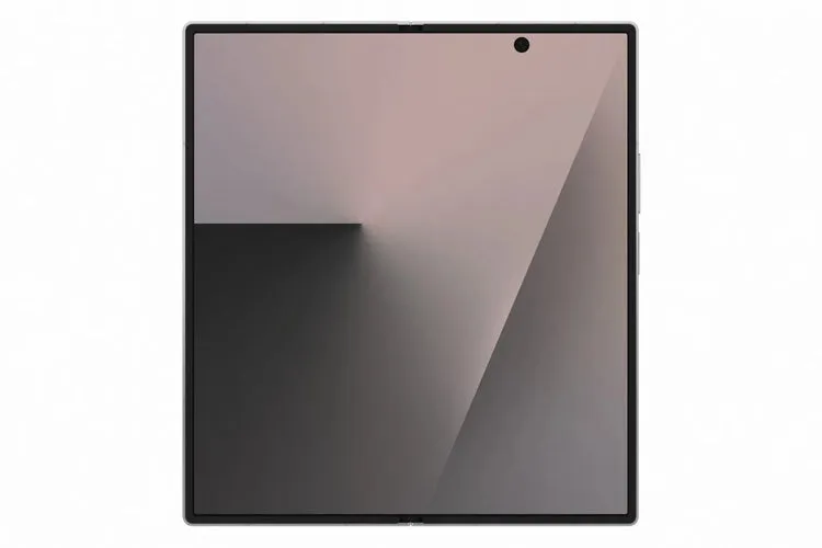 Pamja 12