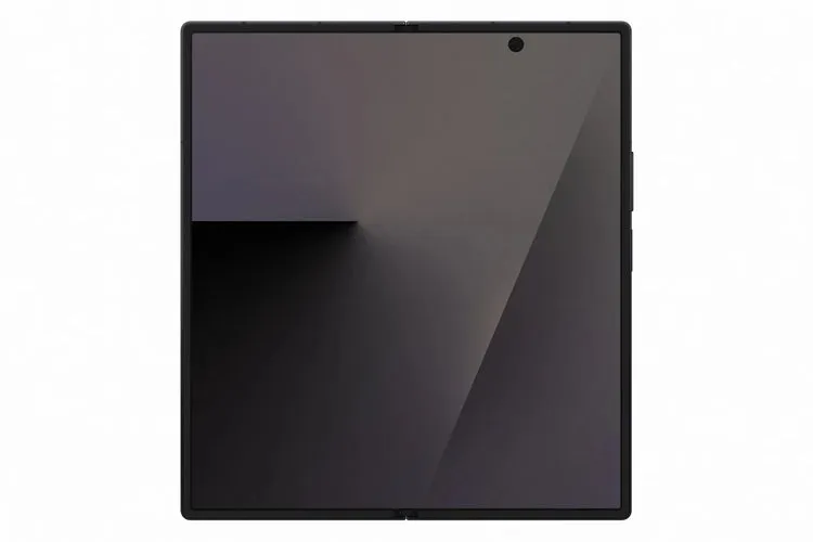 Pamja 6