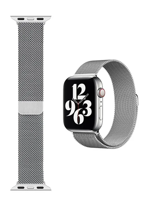 RRIP PER APPLE WATCH WIWU METALIC 1-6/SE 42-44mm SILVER - 1
