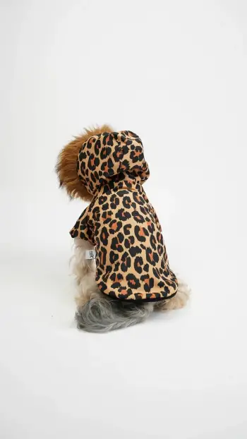 Hudi për qen, leopard, shumëngjyrëshe, XXL