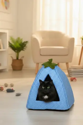 Shtrat për mace, ngjyrë kaltër, Paws & Whiskers, Bcps1001