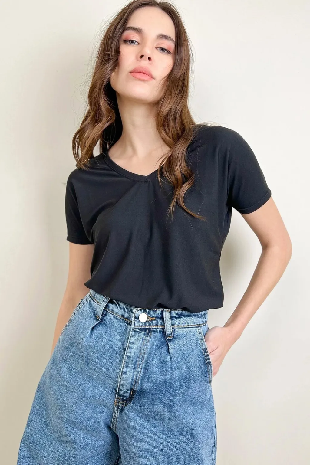 Pamja 2