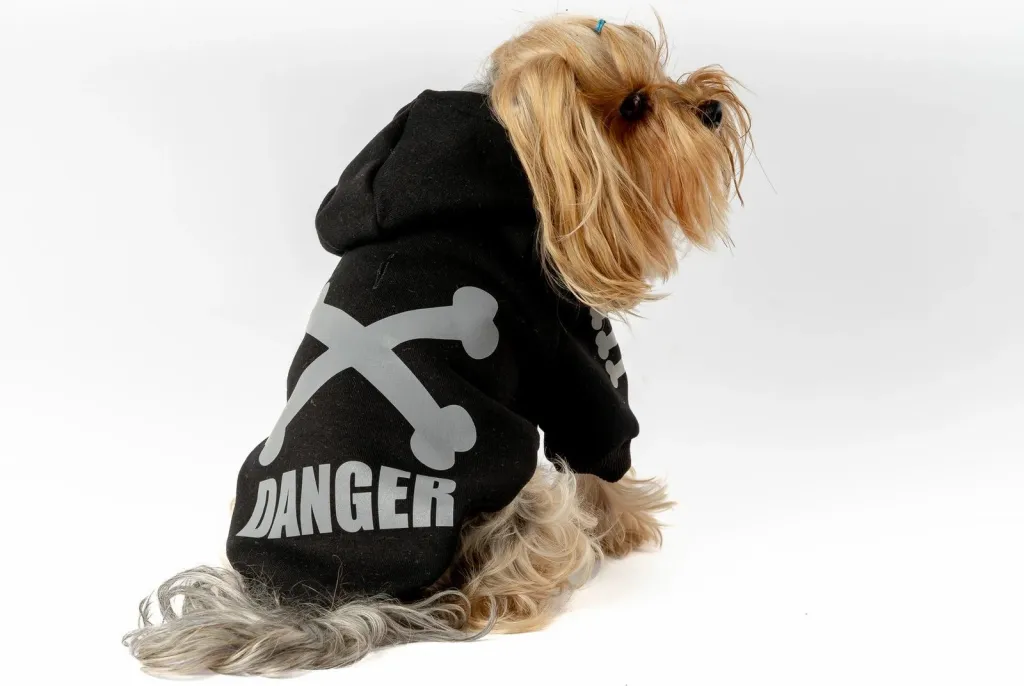 Bluze me kapuç për qen, e zezë, Danger - 1