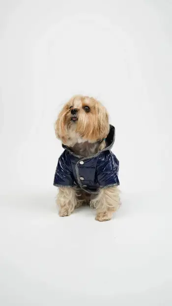 Hudi për qen, Moncler, indigo, Paws & Whiskers