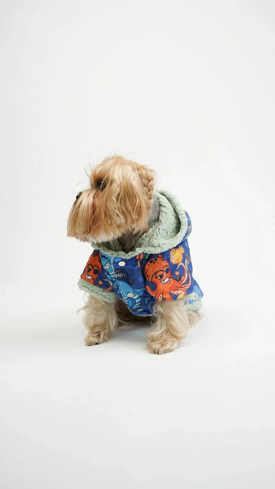 Bluze me kapuç për qen, multikolor, Ocean Raincoat, Paws & Whiskers, XL - 1