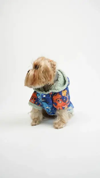 Bluze me kapuç për qen, multikolor, Ocean Raincoat, Paws & Whiskers, XL