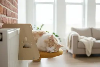 Shtrat për kafshë, i verdhë, për radiator, Paws & Whiskers, 52x35cm