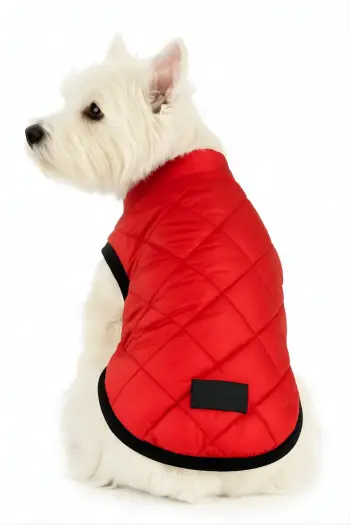 Hudi për qen, Paws & Whiskers, e kuqe, Redjacket