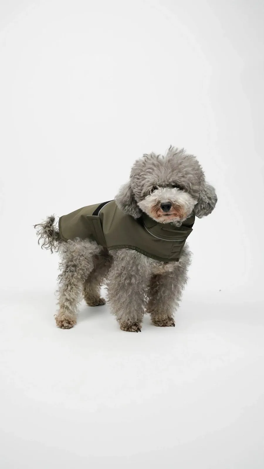 Bluze me kapuç për qen, soft shell, ngjyrë kaki, Paws & Whiskers - 3