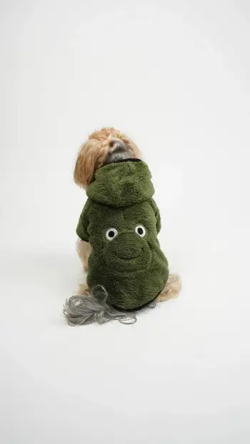 Bluzë me kapuç për qen, Froggy, material welsoft, e gjelbër, XXL