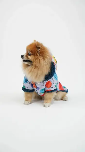 Hudi për qen, Galaxy Raincoat, shumëngjyrëshe, Paws & Whiskers