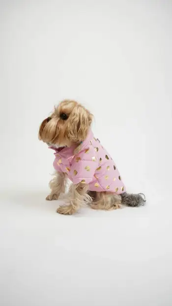 Hoodie për qen, Paws & Whiskers, Amour Coat, rozë