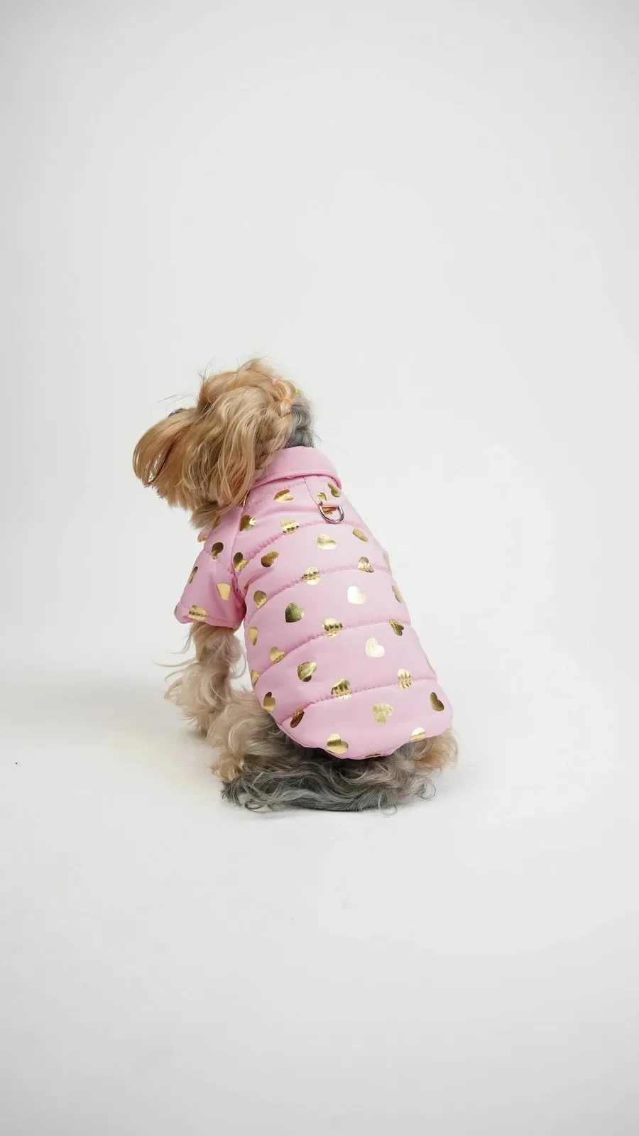 Bluzë për qen, Paws & Whiskers, Amour Coat, rozë - 2