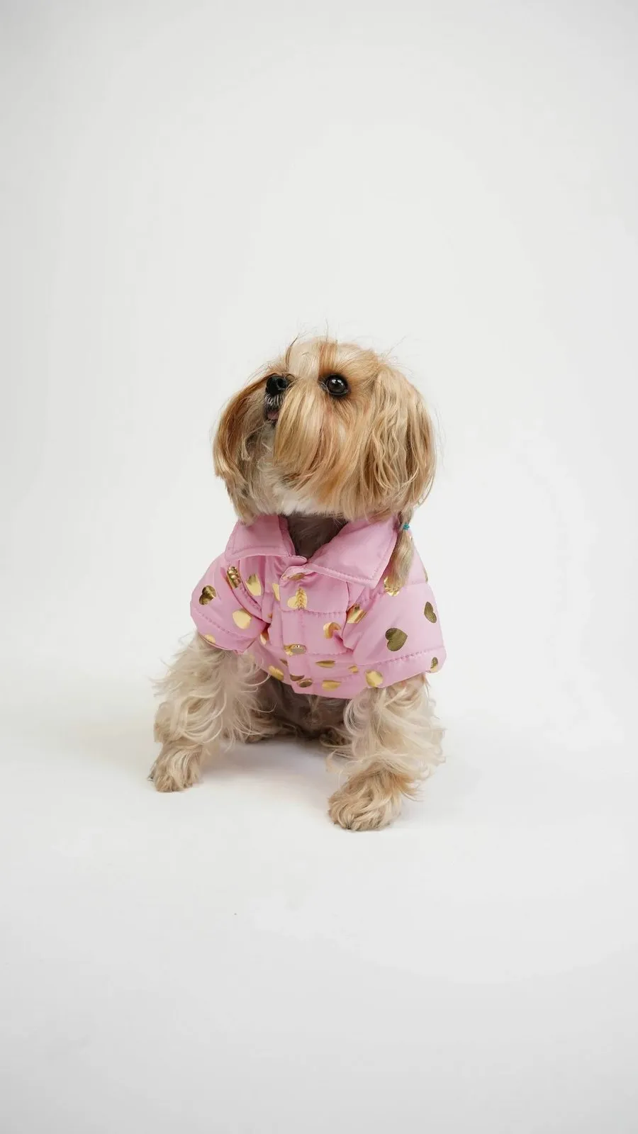 Bluzë për qen, Paws & Whiskers, Amour Coat, rozë - 3