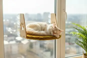 Shtrat për kafshë, montim në dritare, ngjyrë e gjelbër, Paws & Whiskers