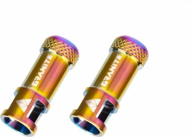 Pamja 1