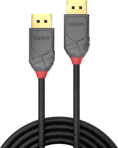 Kabllo Lindy DisplayPort, 3m, e hirtë - 1