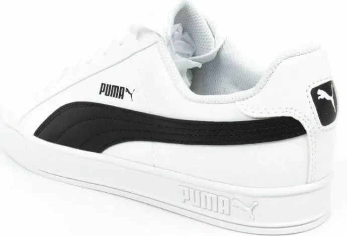 Pamja 15