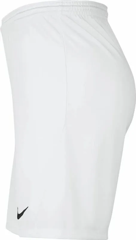 Pamja 3