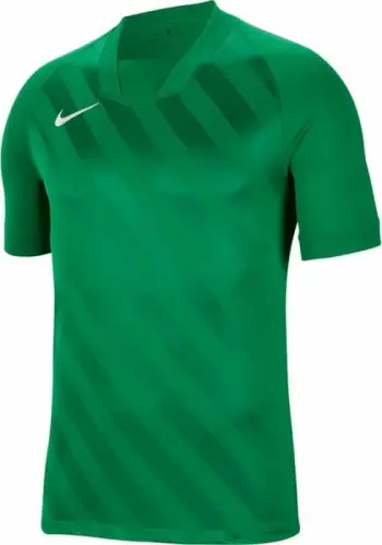Bluzë sportive për fëmijë Nike Dri Fit Challenge 3 Y Jr BV6738 302, poliestër, e gjelbër