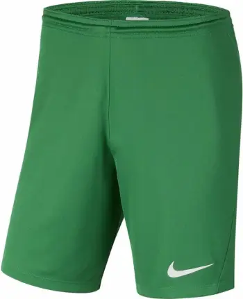 Shorce Nike Park III (BV6855 302), të gjelbër, XL