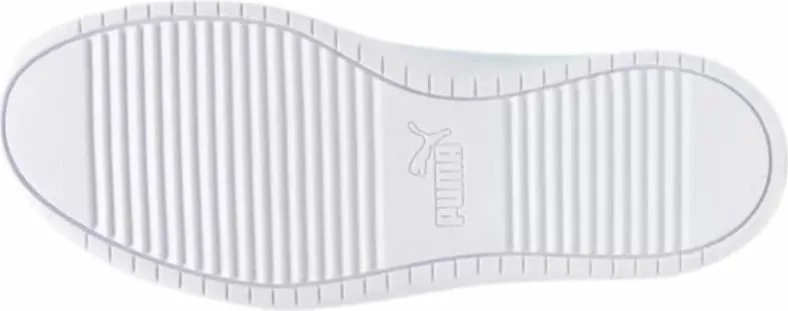 Pamja 5