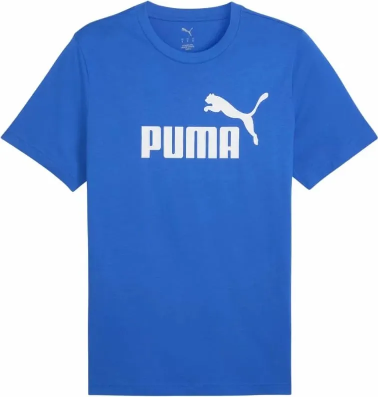 Pamja 1