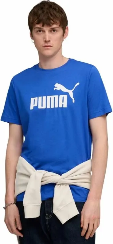 Pamja 3