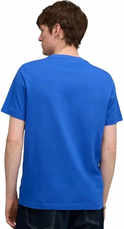 Pamja 4