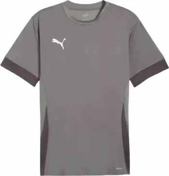 Fanellë për meshkuj Puma, gri