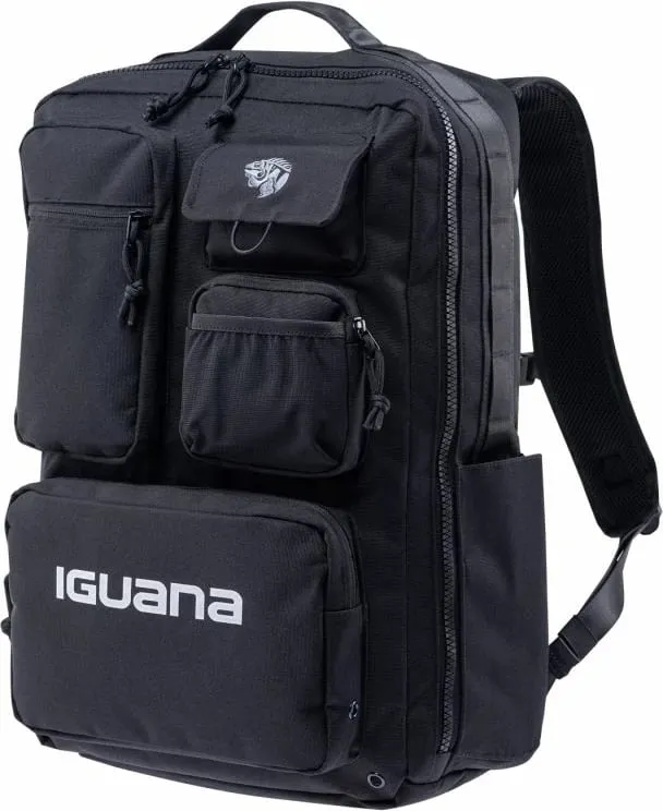 Pamja 1
