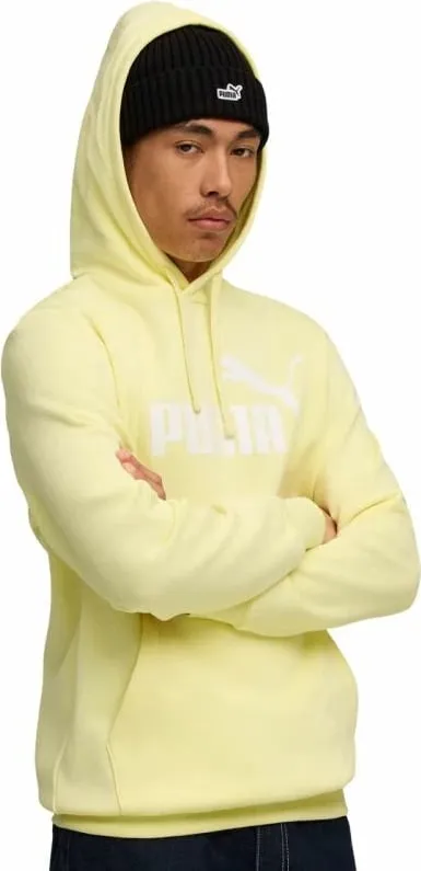 Pamja 2