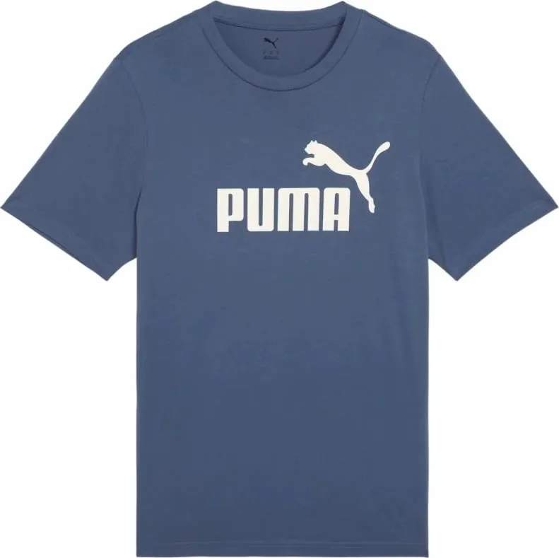 Pamja 1