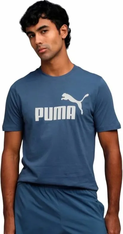 Pamja 3