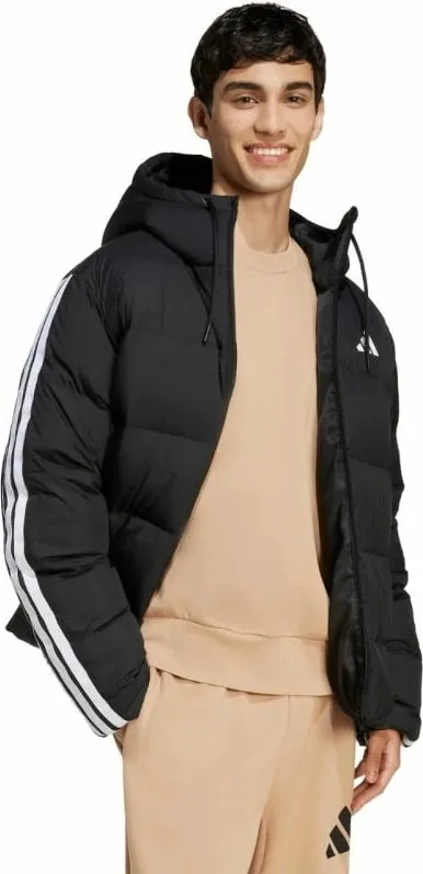 Pamja 6