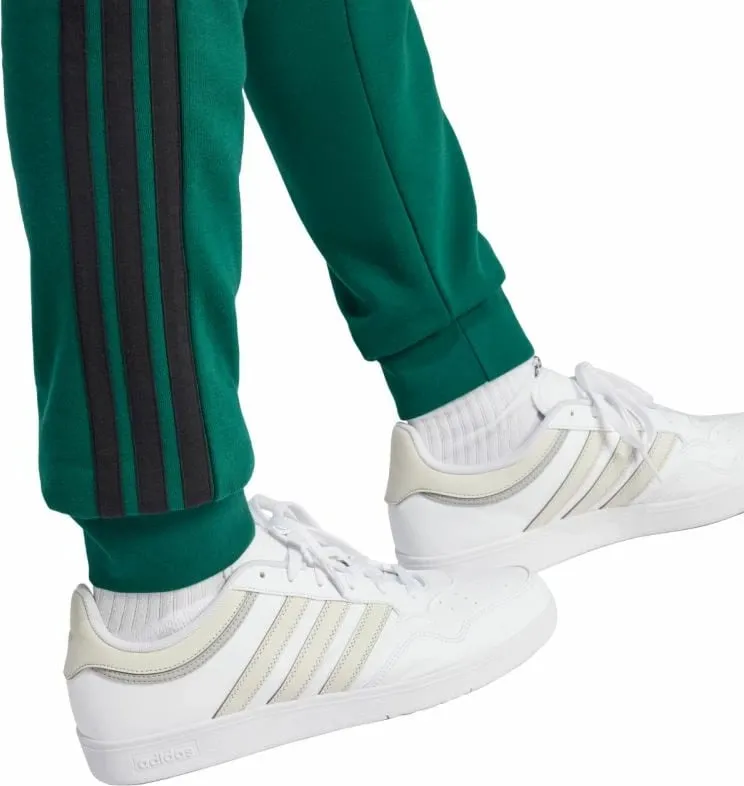 Pamja 5