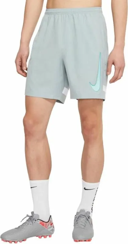 Pamja 6