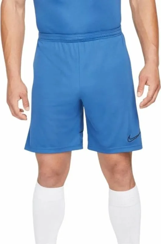 Pamja 1