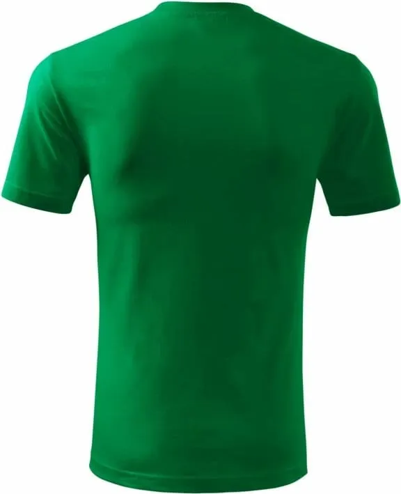 Pamja 2