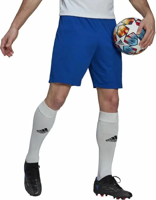 Shorce për meshkuj adidas Entrada 22, blu - 4