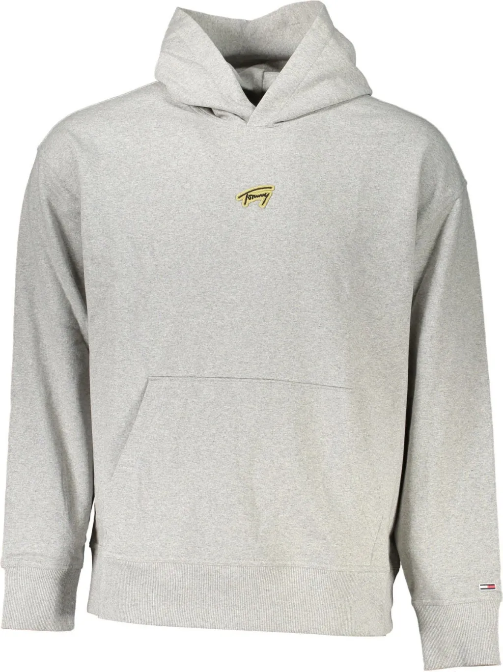 Duks për meshkuj TOMMY HILFIGER, gri - 1