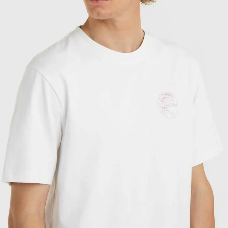 Pamja 4