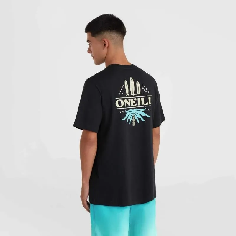 Pamja 4