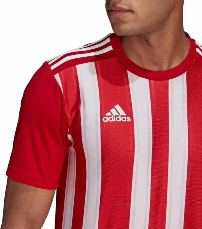 Pamja 7