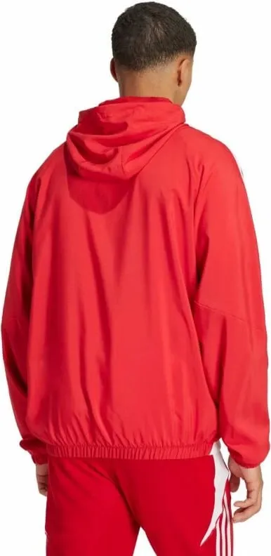 Pamja 2